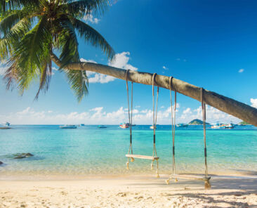 sale-in-the-bag-header