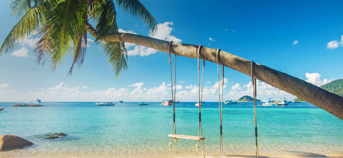 sale-in-the-bag-header