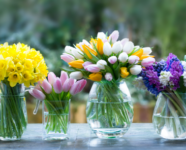 top-spring-flowers