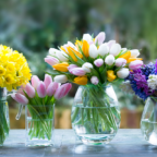top-spring-flowers