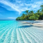 winter_sun_banner